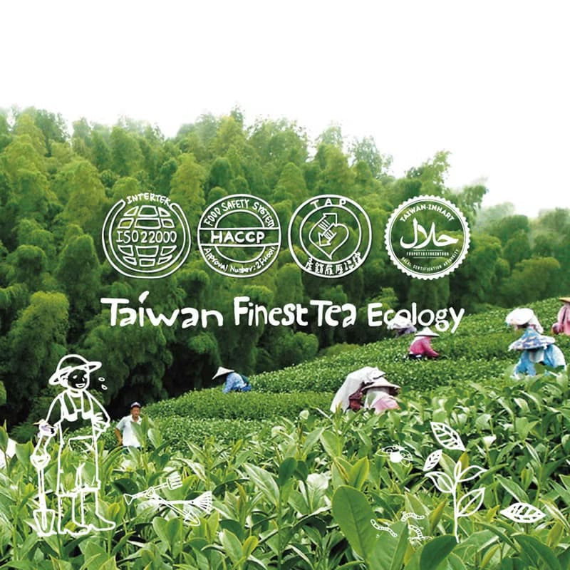【daebete】玄米綠茶 複方茶 茶包 (3g*6包)│快速出貨