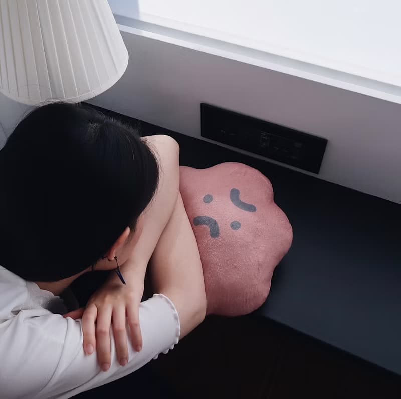 怒君-超細短絨毛 抱枕 靠枕 午睡枕