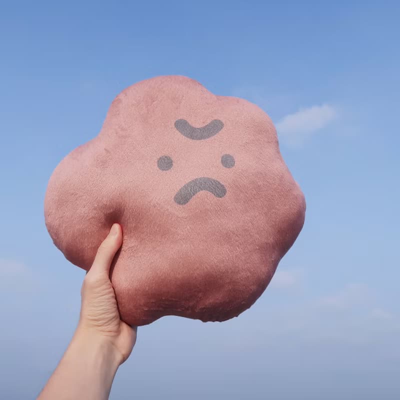 怒君-超細短絨毛 抱枕 靠枕 午睡枕