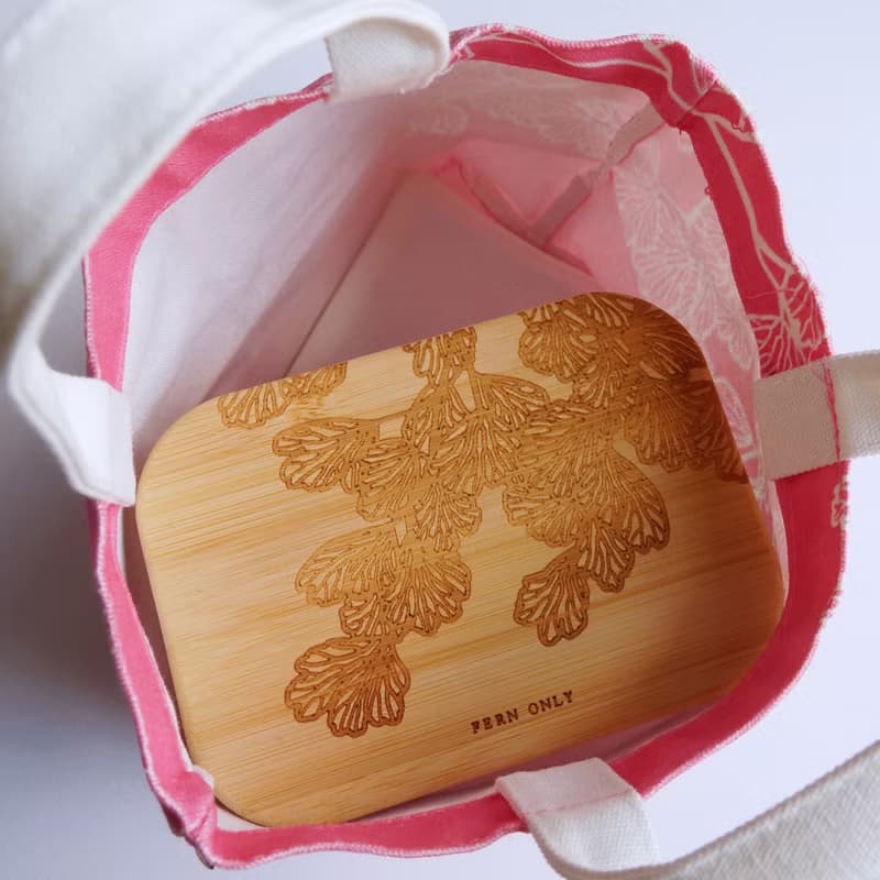 蕨對飽飽便當組-鐵線蕨
