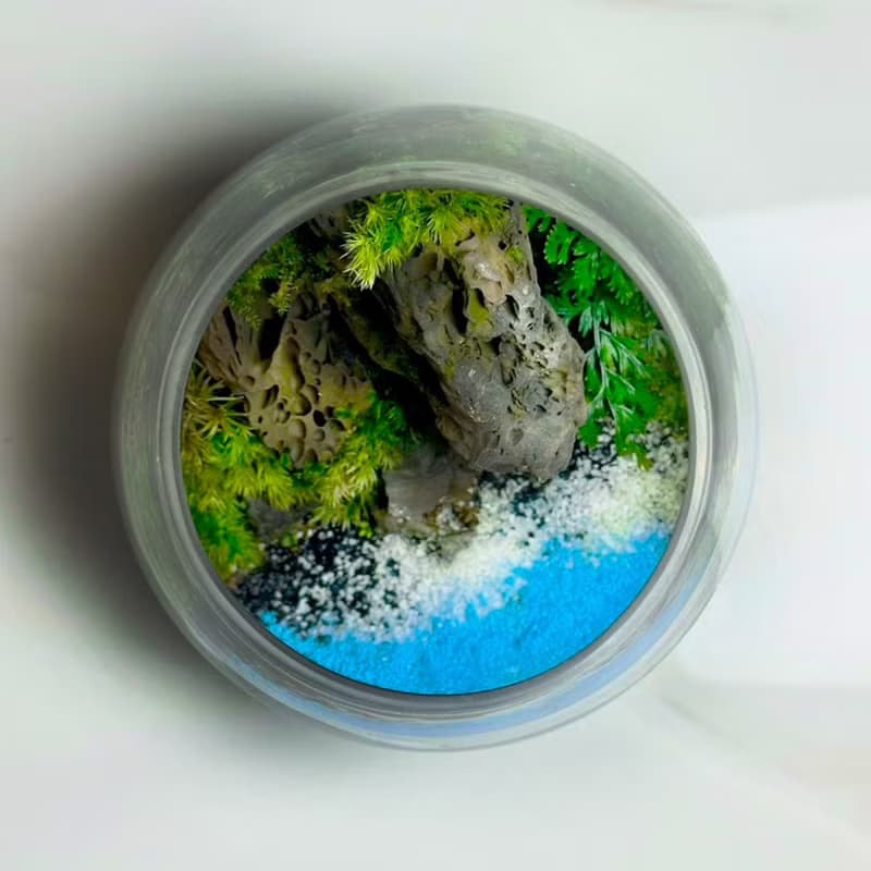 新品上市- 峽崖之聲 / 手工微景觀生態盆