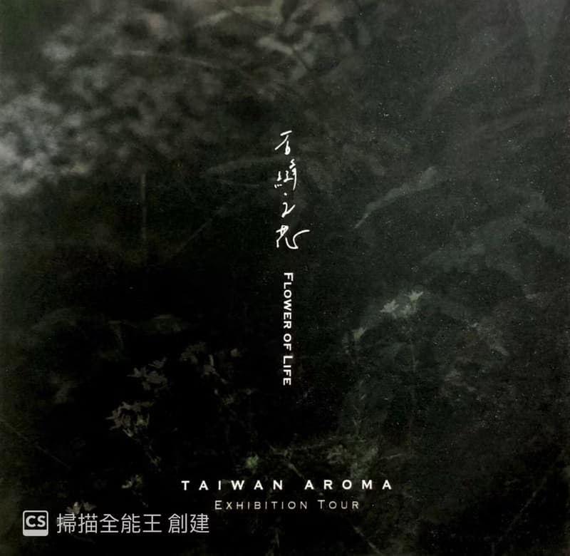 P.Seven【石縫之花】淡香水 | 3ml袖珍香 - 大地木質調