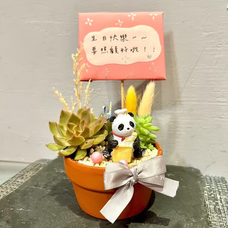 台中多肉組盆 多肉植物 日式枯山水 居家小 熊貓 療癒盆栽 生日禮