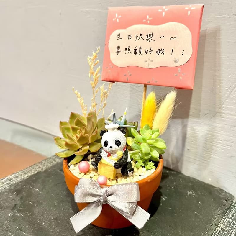 台中多肉組盆 多肉植物 日式枯山水 居家小 熊貓 療癒盆栽 生日禮