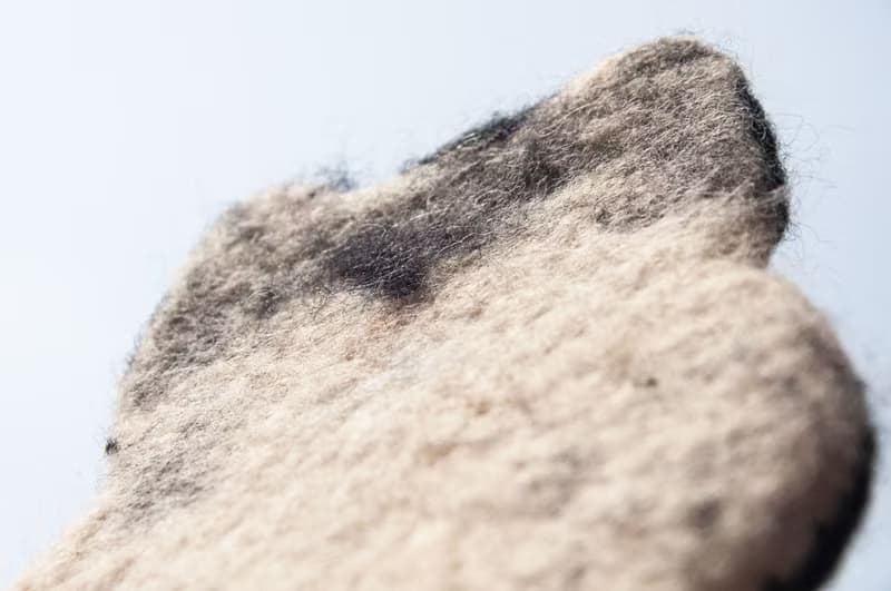 波希米亞森林系羊毛氈杯墊 動物濕氈杯墊-眼鏡貓咪毛孩子吸水杯墊