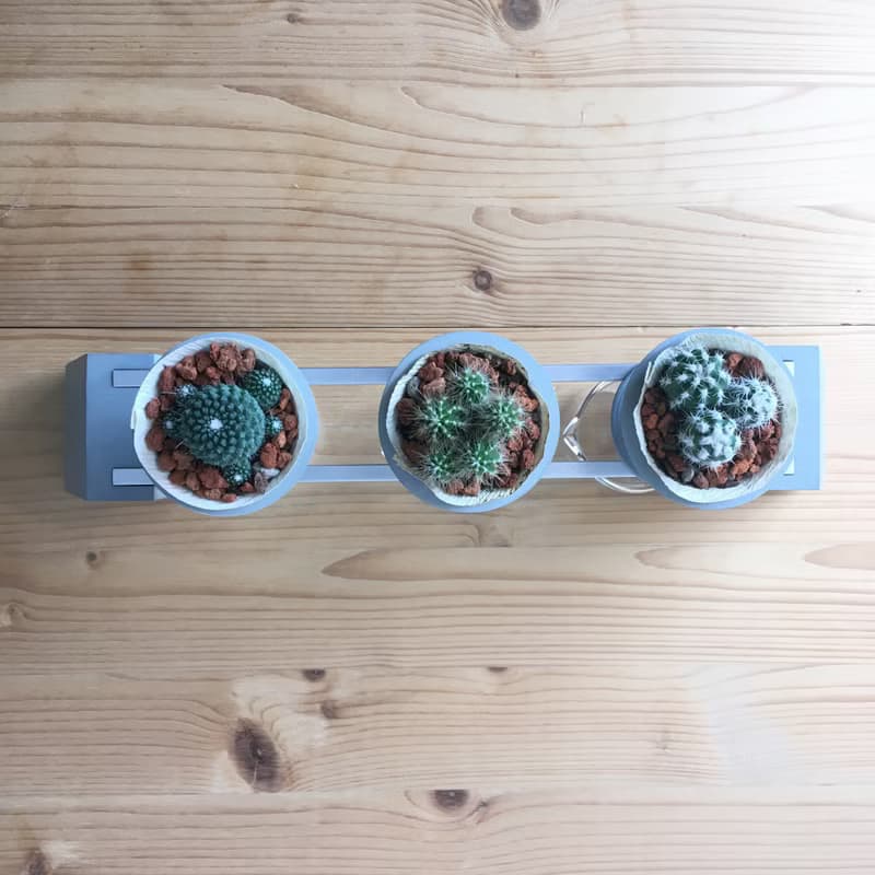 【咖啡時光】 迷你仙人掌DIY 手沖咖啡架縮小版 咖啡館開幕禮