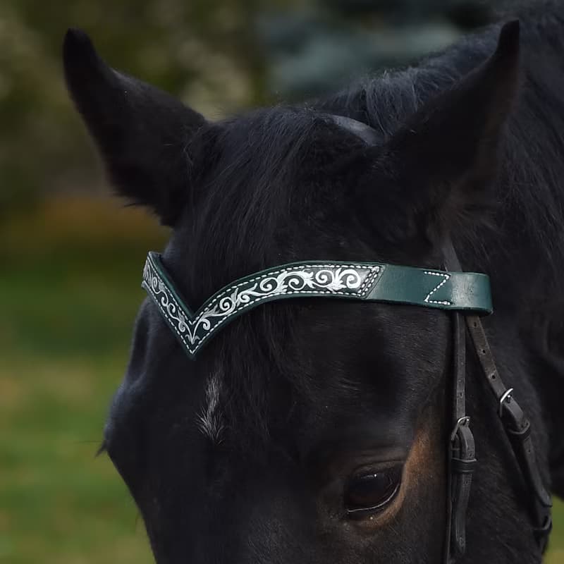 Green leather browband for horses draft pony. Handmade Brow band with hand-paint