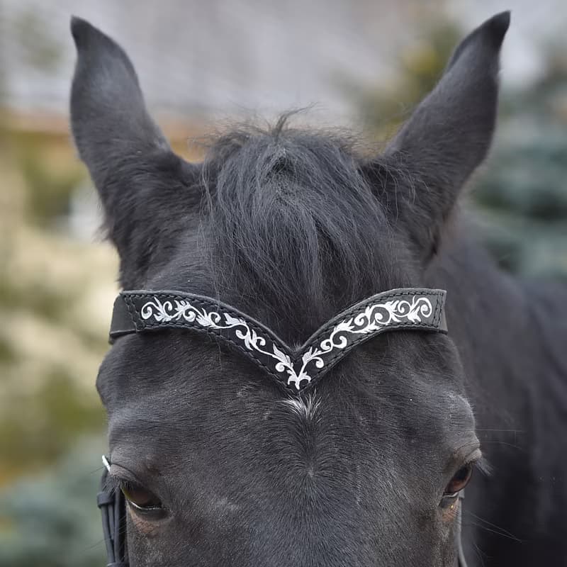 Green leather browband for horses draft pony. Handmade Brow band with hand-paint