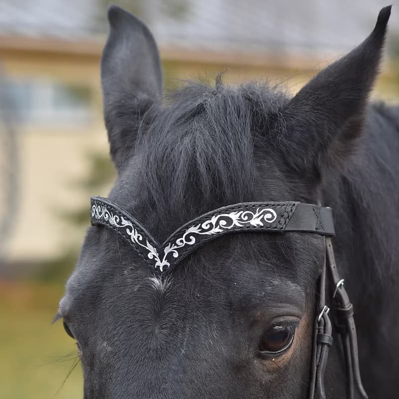 Green leather browband for horses draft pony. Handmade Brow band with hand-paint