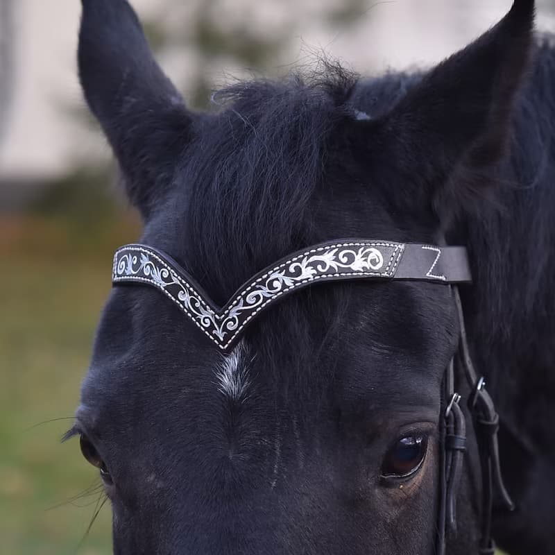 Green leather browband for horses draft pony. Handmade Brow band with hand-paint