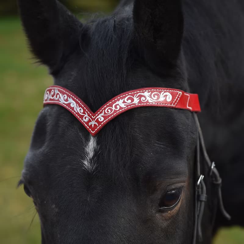 Green leather browband for horses draft pony. Handmade Brow band with hand-paint