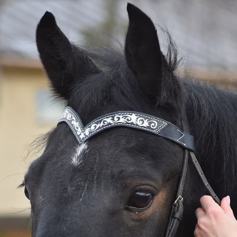 Green leather browband for horses draft pony. Handmade Brow band with hand-paint