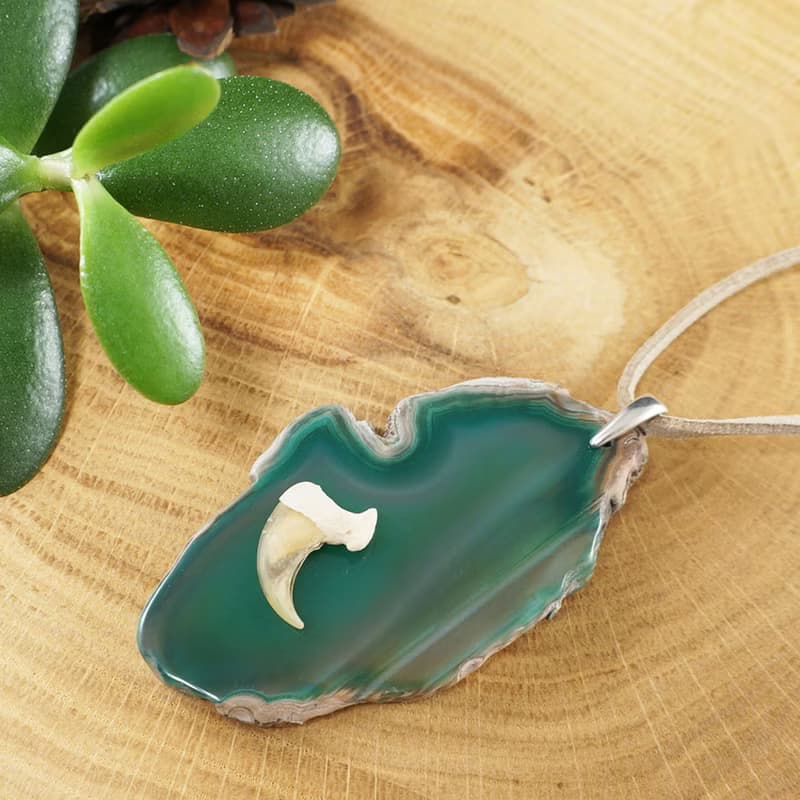 Green Agate Slice Slab Bobcat Claw Protection Pendant Necklace Woman Man Jewelry