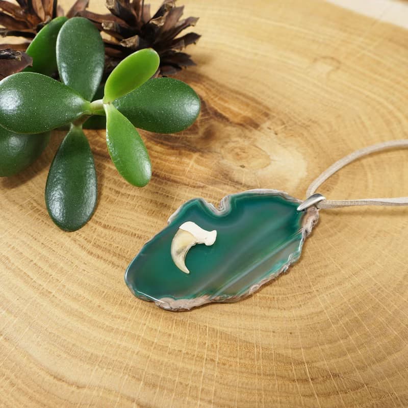 Green Agate Slice Slab Bobcat Claw Protection Pendant Necklace Woman Man Jewelry