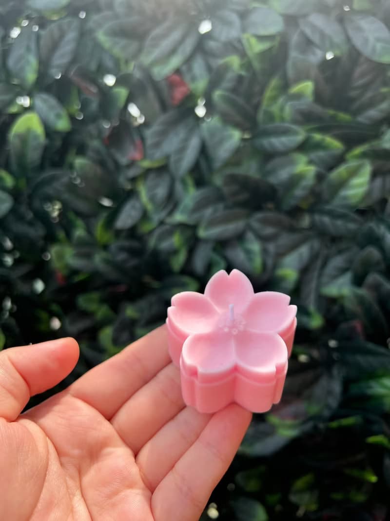春日限定|櫻花蠟燭|交換禮物,增加節日氣氛