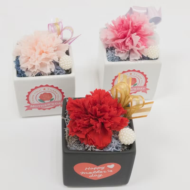 畢業花束禮物 永生康乃馨盆花 永生乾燥花情人節生日企業課程