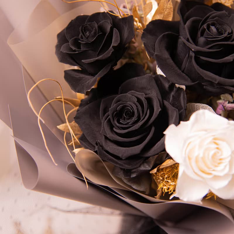 【韓系】個性黑玫瑰乾燥花 永生花花束 大花束 / 生日 告白 女友