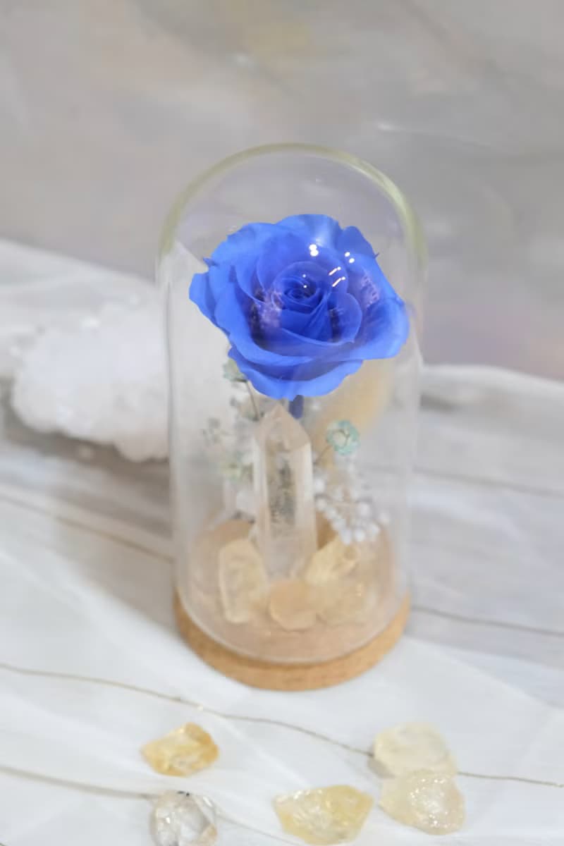 開運好物 白水晶鐘罩花禮 新居禮 辦公擺飾 居家擺飾