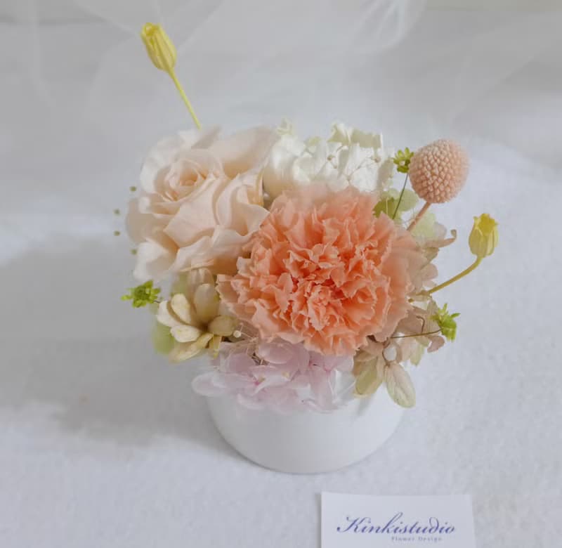 永生康乃馨盆花 婚禮結婚捧花乾燥花生日畢業禮物畢業花束c