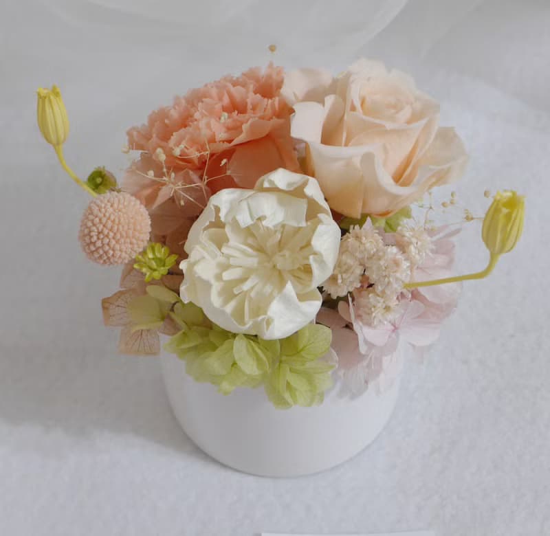 永生康乃馨盆花 婚禮結婚捧花乾燥花生日畢業禮物畢業花束c