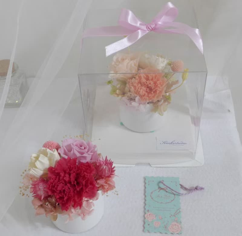 永生康乃馨盆花 婚禮結婚捧花乾燥花生日畢業禮物畢業花束c