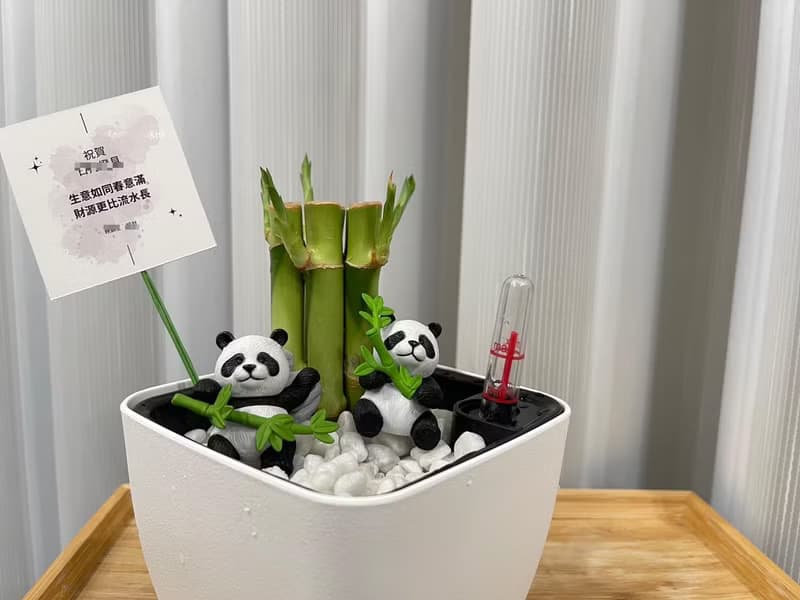 蕨美植栽 室內網美懶人土耕植栽-開運竹+方形懶人花盆 (附熊貓)