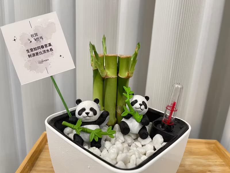 蕨美植栽 室內網美懶人土耕植栽-開運竹+方形懶人花盆 (附熊貓)