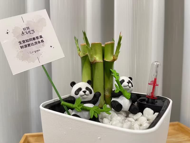蕨美植栽 室內網美懶人土耕植栽-開運竹+方形懶人花盆 (附熊貓)