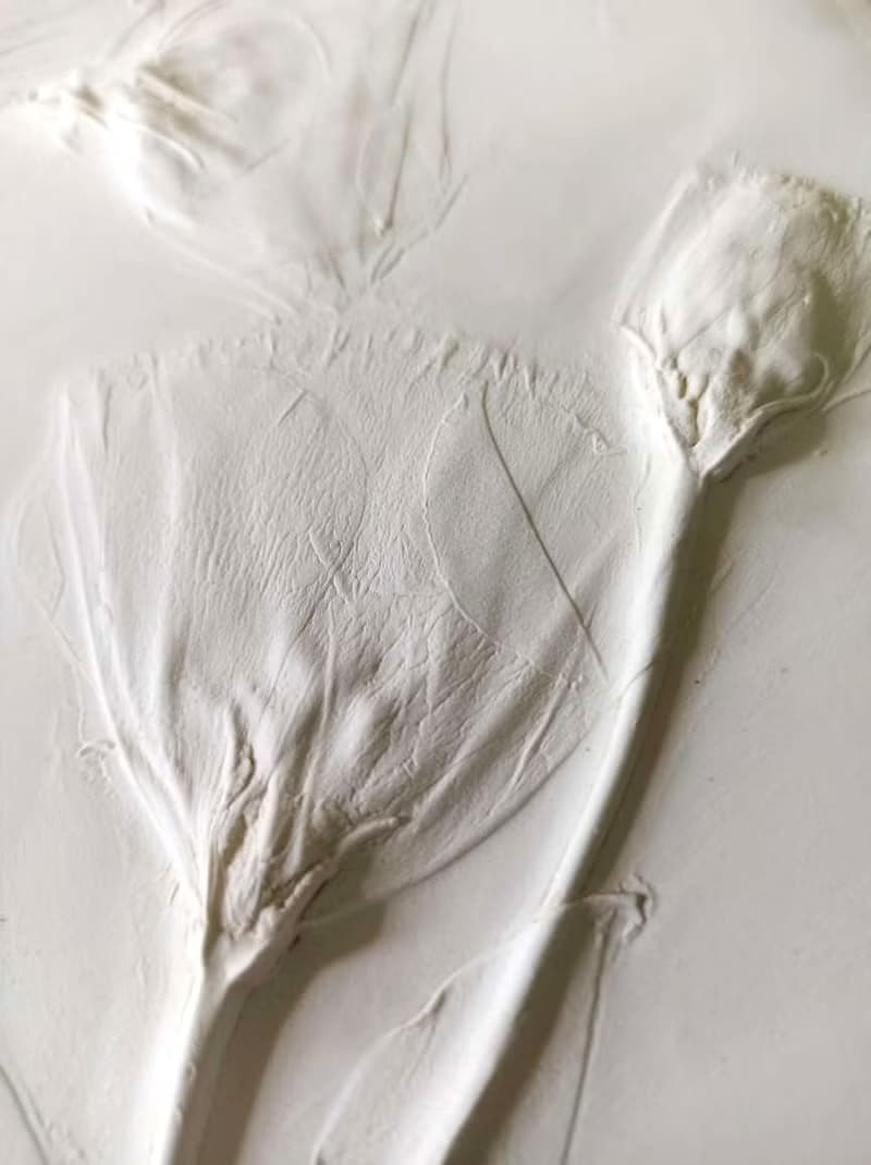 情人節禮物/植物浮雕 /交換禮物.牆壁裝飾.花朵