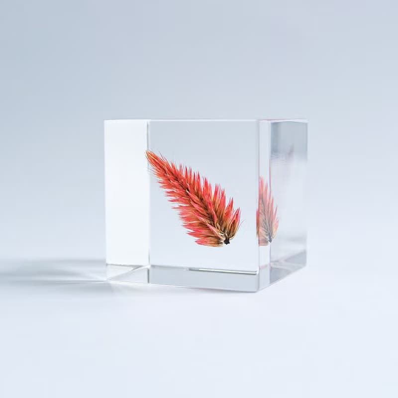 Sola cube 青葙立方塊_祝福之火