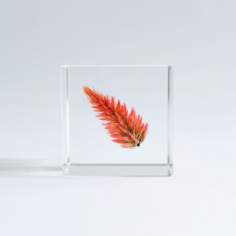 Sola cube 青葙立方塊_祝福之火