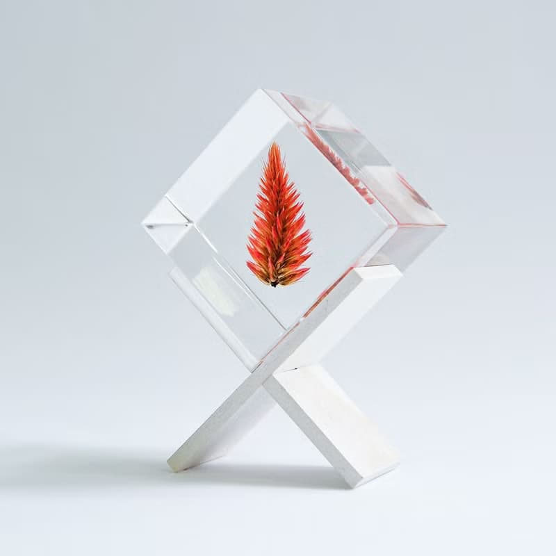 Sola cube 青葙立方塊_祝福之火