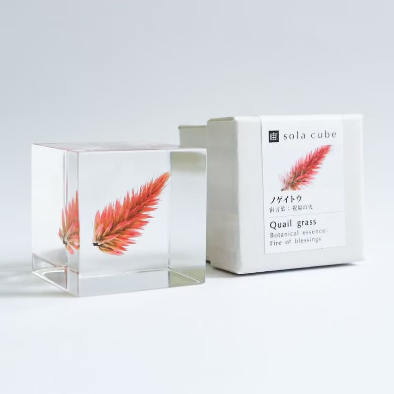 Sola cube 青葙立方塊_祝福之火