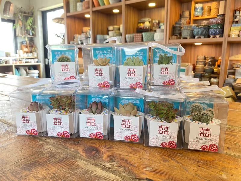 【荳荳多肉】【2吋盆組-50盆1組】│送禮│多肉植物│婚禮小物│