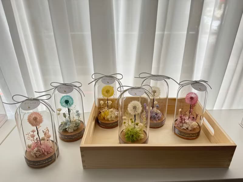 永生花浦公英玻璃花盅   浦公英 蒲公英