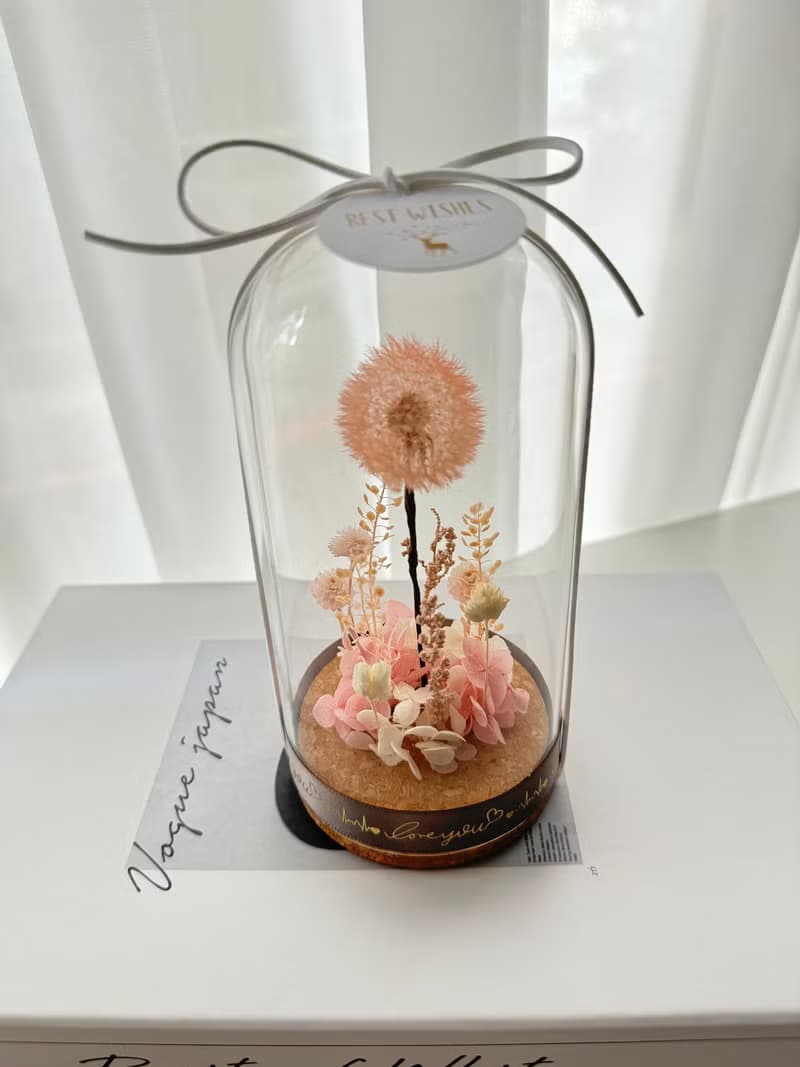 永生花浦公英玻璃花盅   浦公英 蒲公英