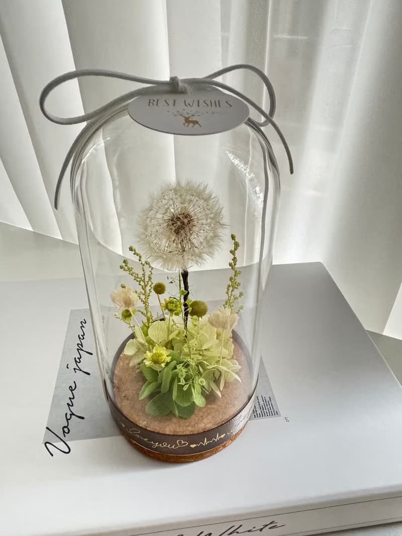 永生花浦公英玻璃花盅   浦公英 蒲公英
