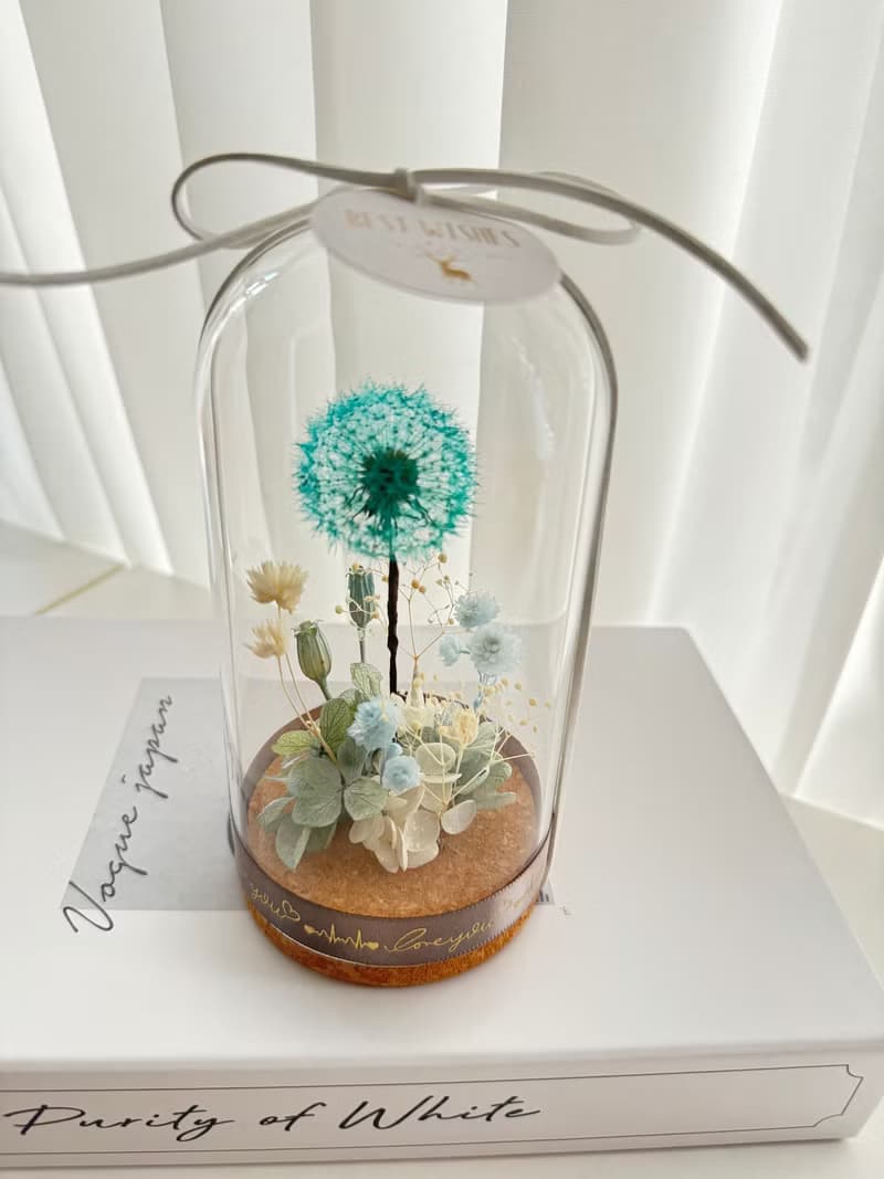 永生花浦公英玻璃花盅   浦公英 蒲公英