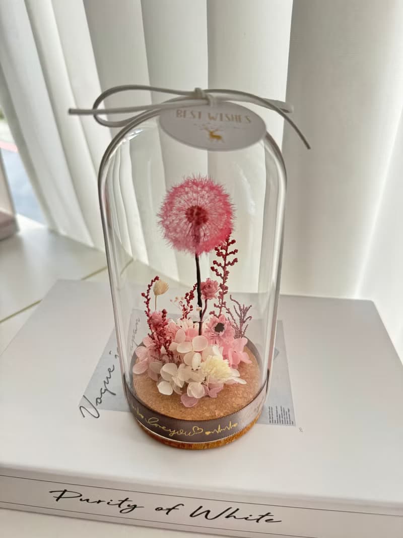 永生花浦公英玻璃花盅   浦公英 蒲公英