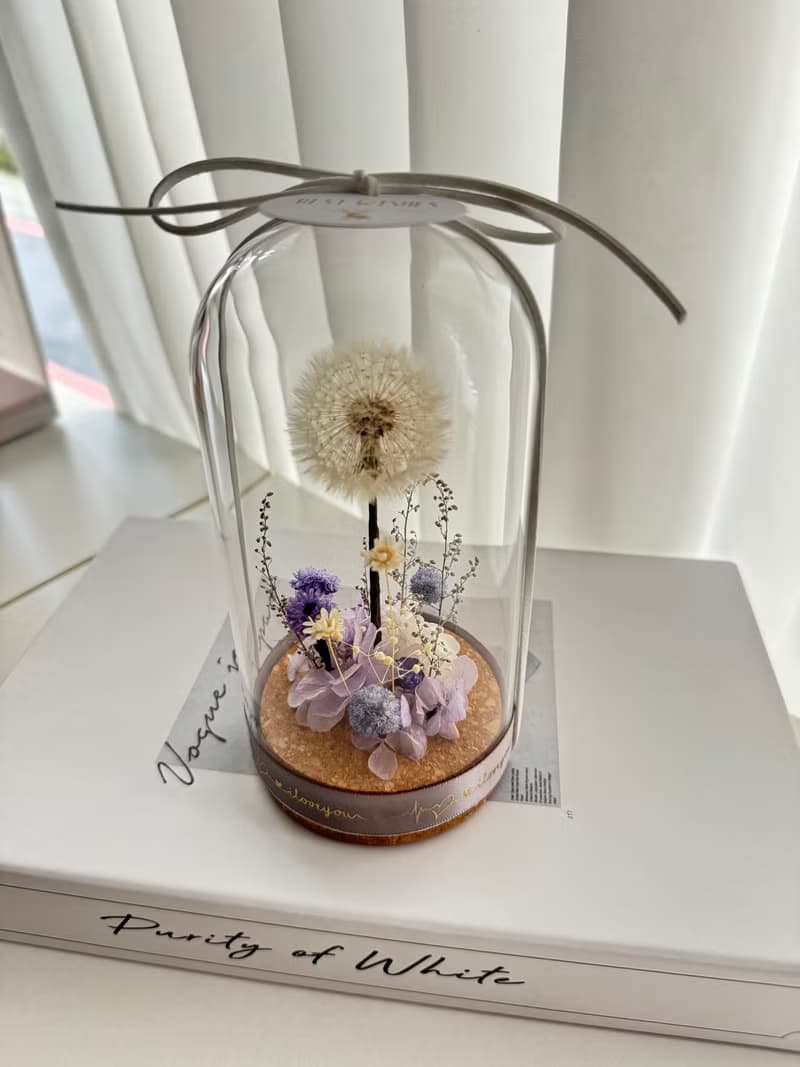 永生花浦公英玻璃花盅   浦公英 蒲公英