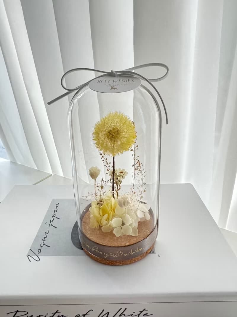 永生花浦公英玻璃花盅   浦公英 蒲公英
