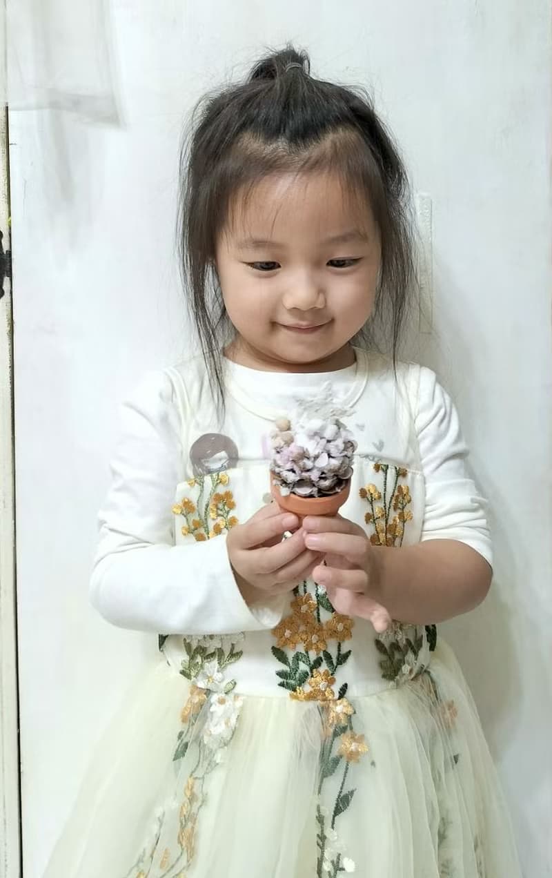 聖誕樹聖誕花圈交換禮物 聖誕佈置花禮【DIY材料包】親子松果盆栽