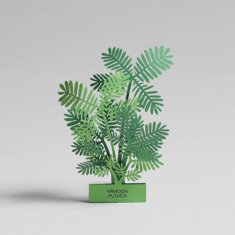 立體紙植物 原木手機座 / 卡片座 / 日曆座 套裝 - FingerART紙雕