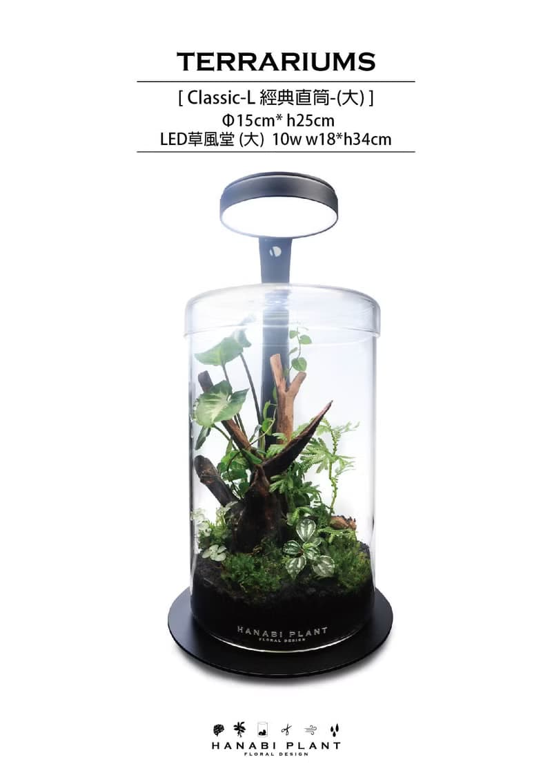 【訂製】蕨醒經典生態瓶-經典直筒(大)