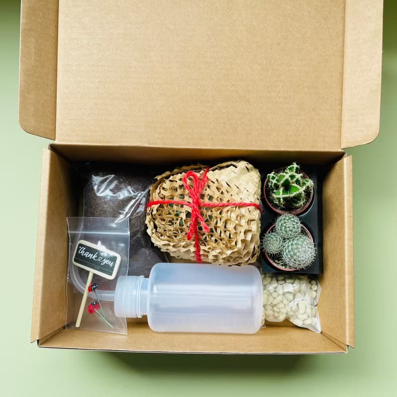 【我不想念你才怪】送你倔強仙人掌 DIY禮盒組 畢業禮物 生日禮物