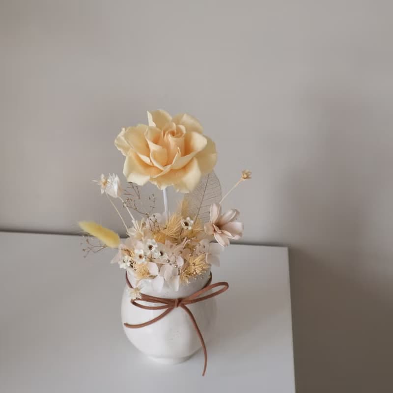 永生玫瑰盆花 兩色 情人節禮物 開幕盆花 居家擺設 送禮