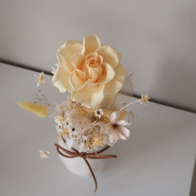 永生玫瑰盆花 兩色 情人節禮物 開幕盆花 居家擺設 送禮