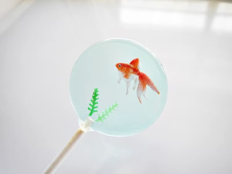 創意棒棒糖-金魚的家 (5支/盒)