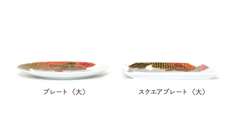 大號圓盤 Carp is Dragon in heaven