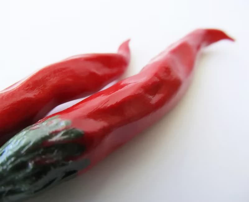 Red Hot Chili Pepper Earrings Vegetable Earrings Food earrings Red cute earrings